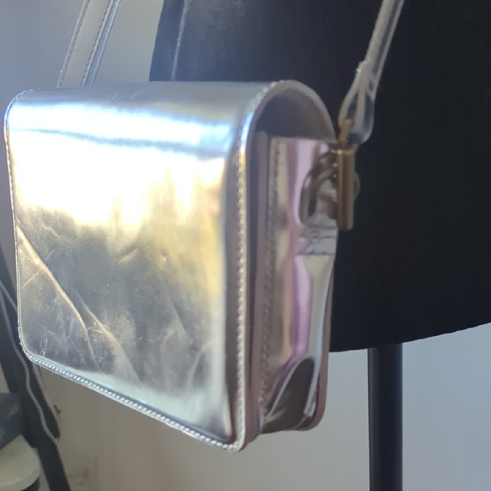 Madewell Silver Crossbody Bag - Picture 3 of 10